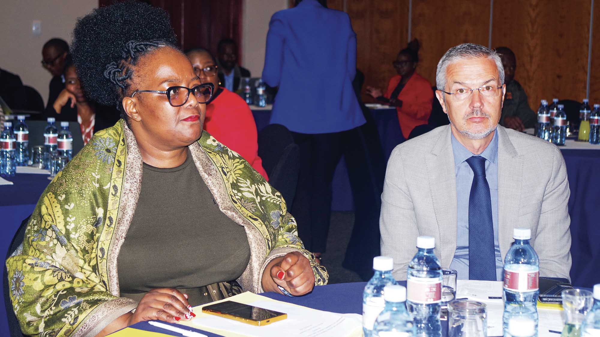 Acting Principal Secretary in the Ministry of Commerce, Industry and Trade Cebile Nhlabatsi (L) and EU Ambassador to Eswatini Karsten Mecklenburg. (File pic)